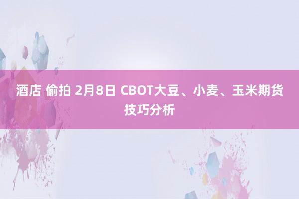 酒店 偷拍 2月8日 CBOT大豆、小麦、玉米期货技巧分析