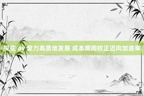 探花 av 聚力高质地发展 成本阛阓校正迈向加速率