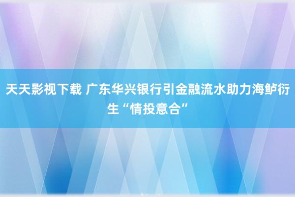 天天影视下载 广东华兴银行引金融流水助力海鲈衍生“情投意合”