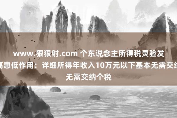 www.狠狠射.com 个东说念主所得税灵验发扬调高惠低作用：详细所得年收入10万元以下基本无需交纳个税