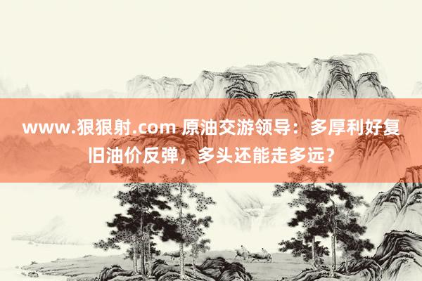 www.狠狠射.com 原油交游领导：多厚利好复旧油价反弹，多头还能走多远？
